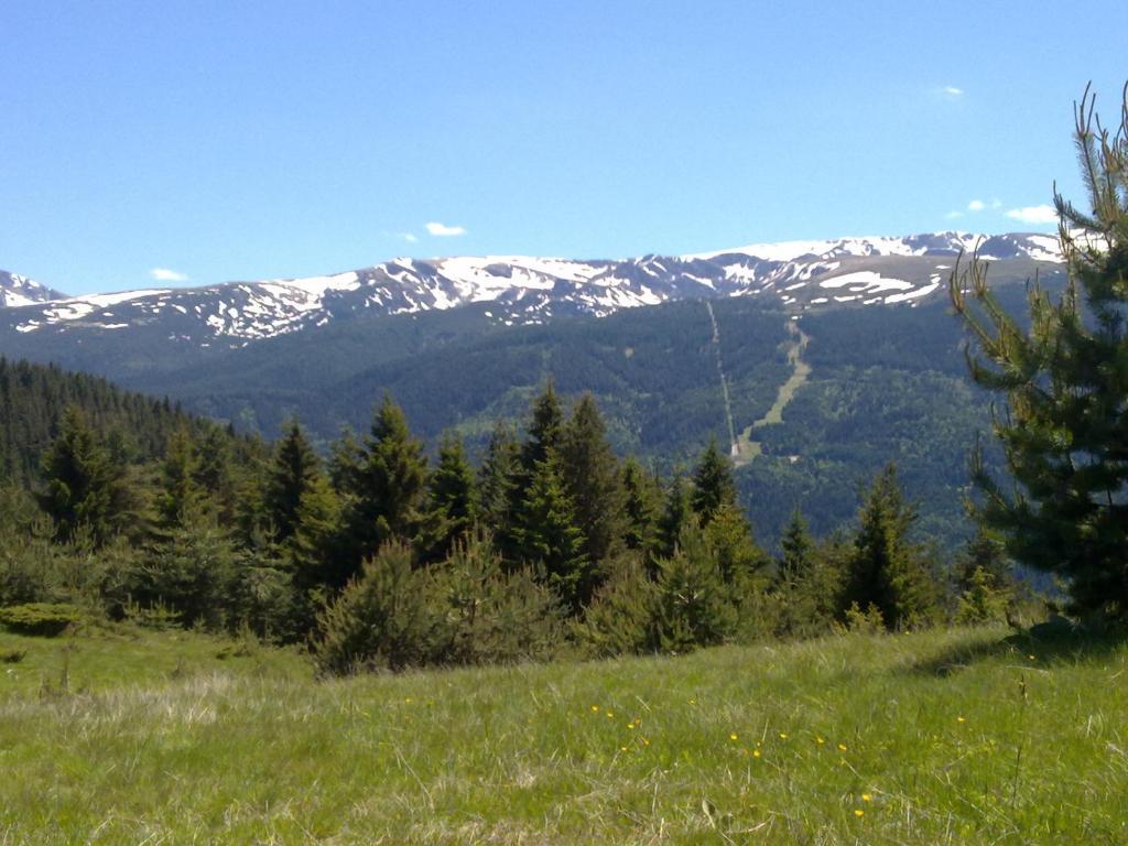 Mountain Dreams Apartment Sapareva Banja Exteriör bild
